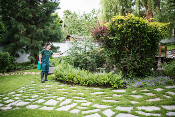 Best Wasp Removal Services  in Shenandoah Junction, WV