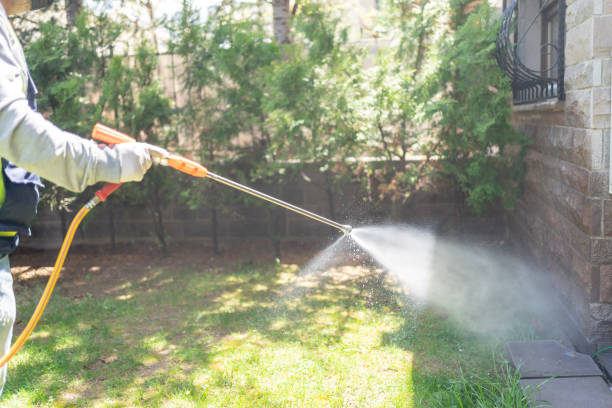 Best Spider Control Near Me  in Shenandoah Junction, WV
