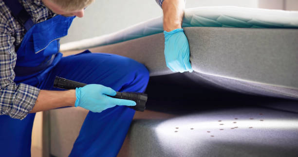 Best Local Pest Control Services  in Shenandoah Junction, WV