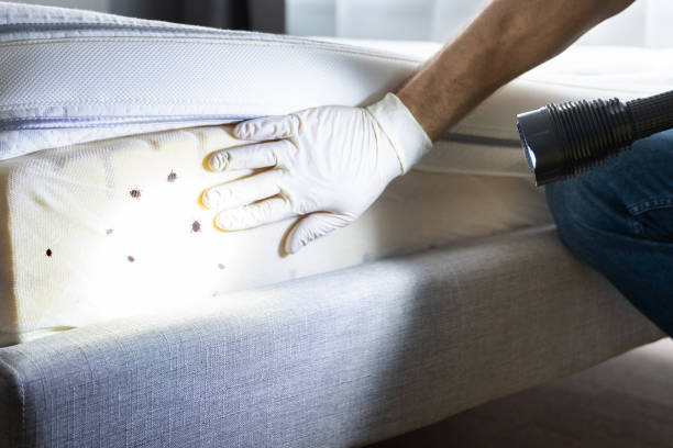 Best Residential Pest Control  in Shenandoah Junction, WV