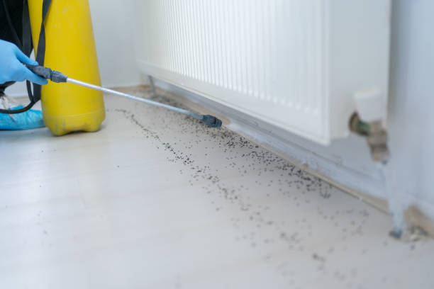 Pest Prevention Services in Shenandoah Junction, WV