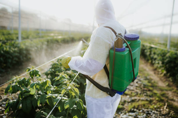 Best Commercial Pest Control Services  in Shenandoah Junction, WV